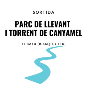 Parc de Llevant i Torrent de Canyamel
